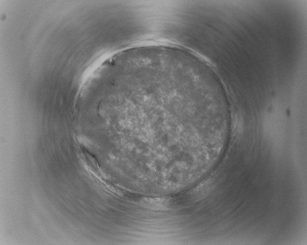 X0000051891415200507151927