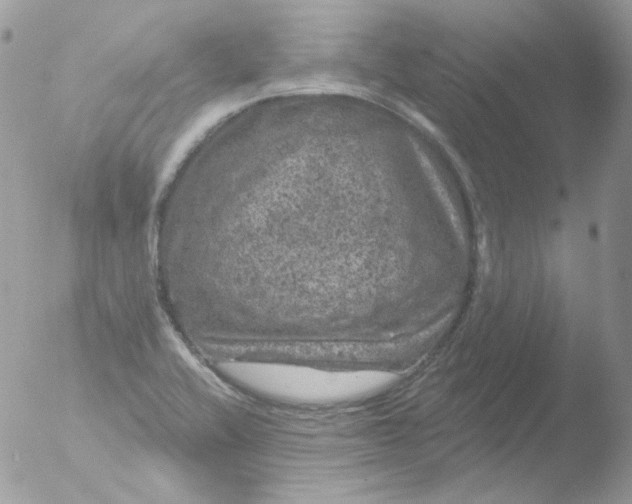 X0000051891416200507151927