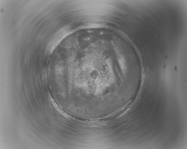 X0000051891417200507151927