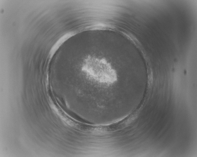 X0000051891418200507151927