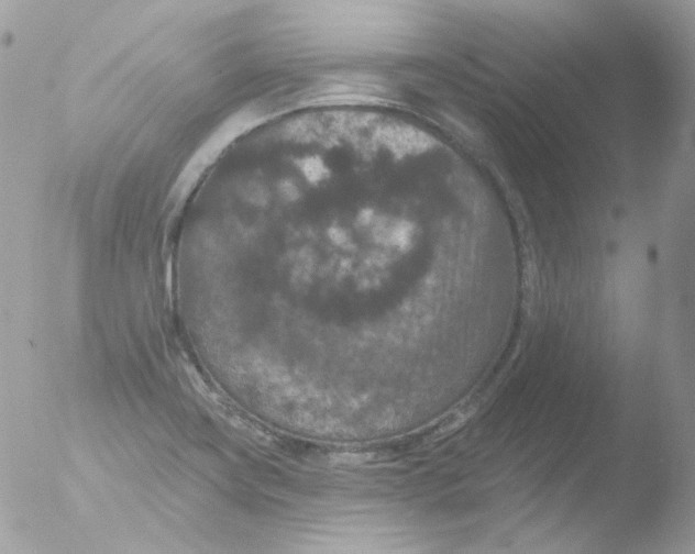 X0000051891419200507151927