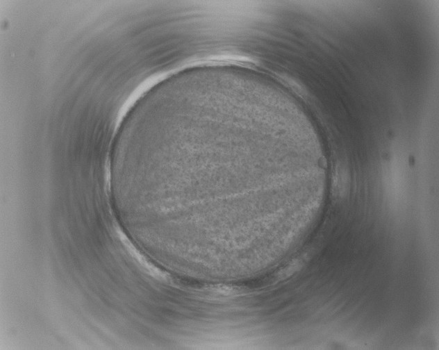 X0000051891420200507151927