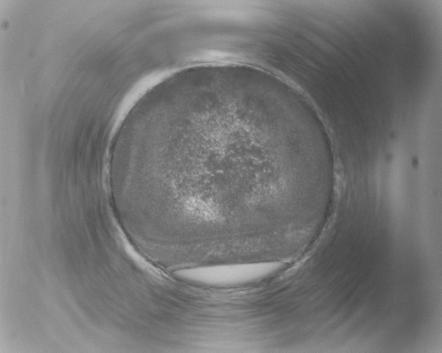 X0000051891421200507151927