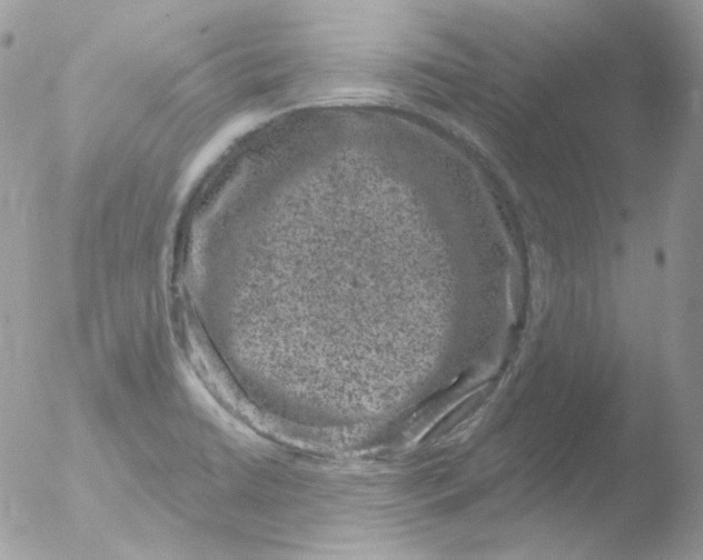 X0000051891422200507151927