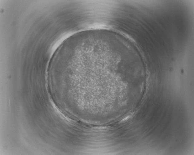 X0000051891423200507151927