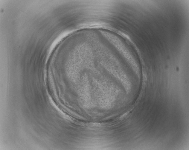 X0000051891424200507151927