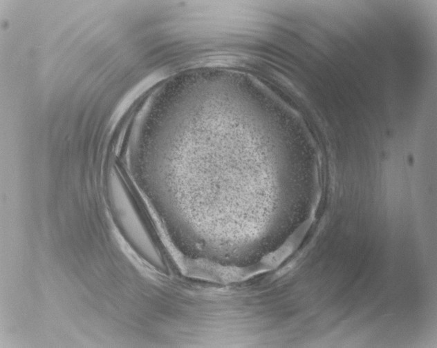 X0000051891426200507151927