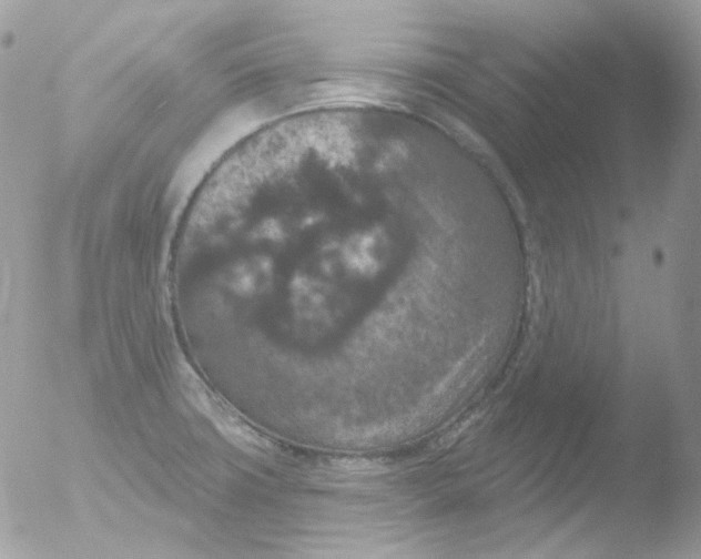 X0000051891427200507151927