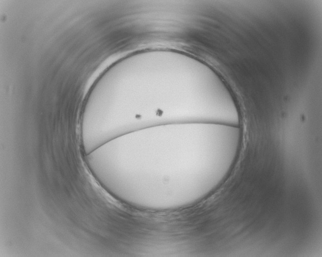 X0000051891428200507151927