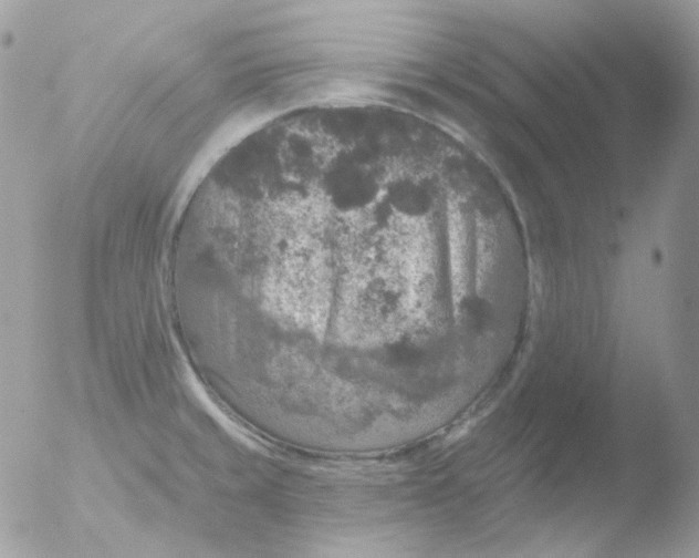 X0000051891429200507151927