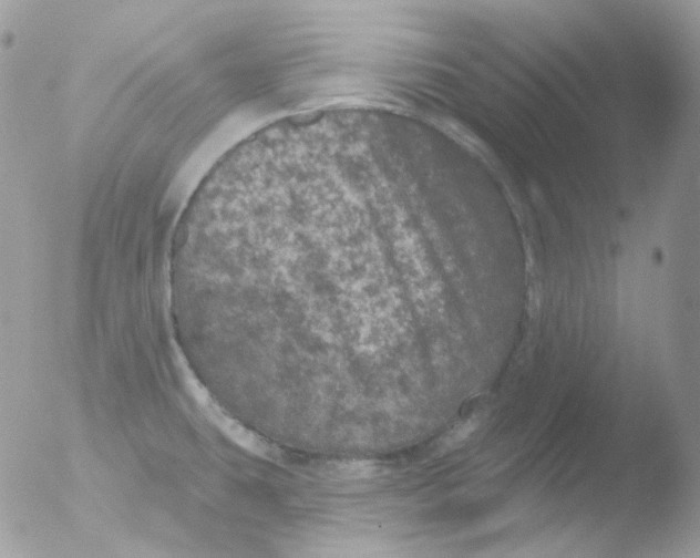 X0000051891431200507151927