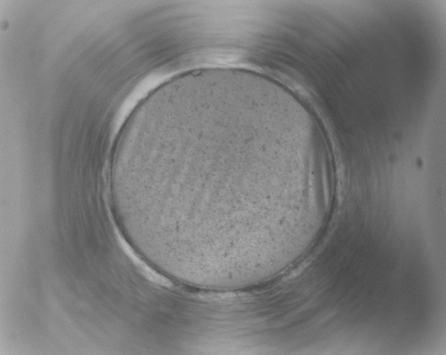 X0000051891432200507151927