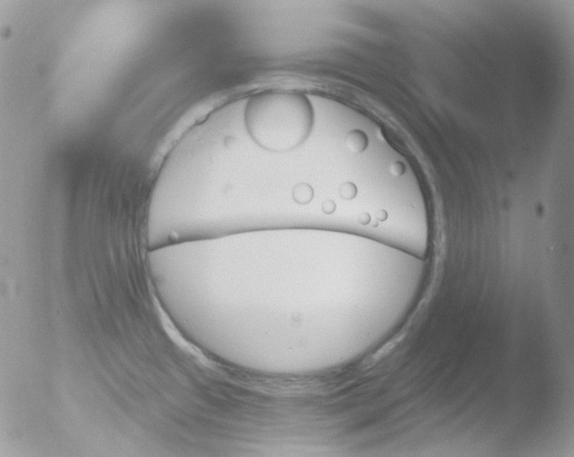 X0000051891433200507151927