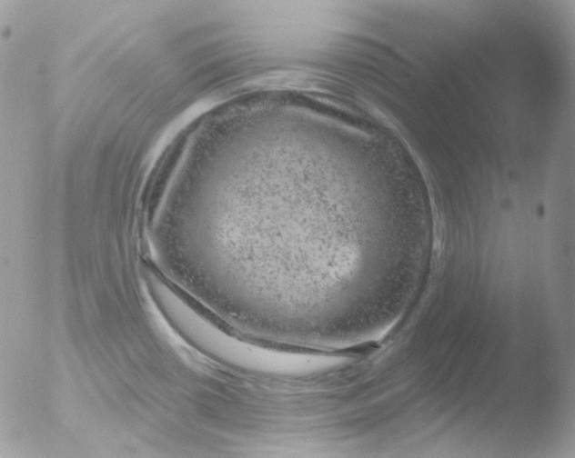 X0000051891434200507151927