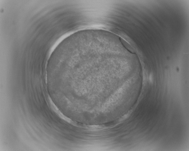 X0000051891436200507151927