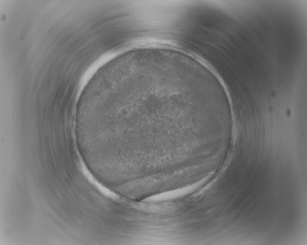 X0000051891437200507151927