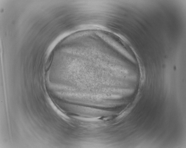 X0000051891438200507151927