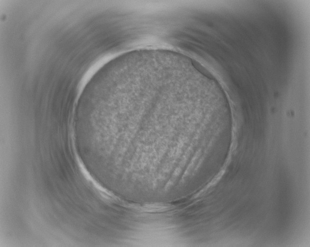 X0000051891440200507151927