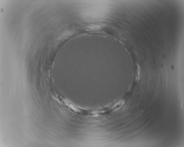 X0000051891441200507151926