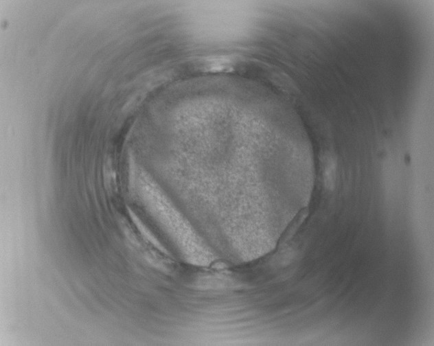 X0000051891442200507151926