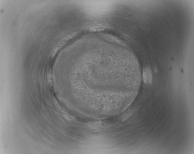 X0000051891444200507151926