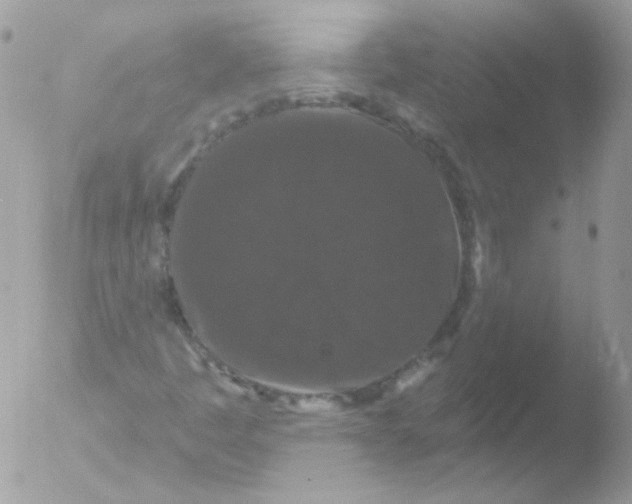 X0000051891445200507151926