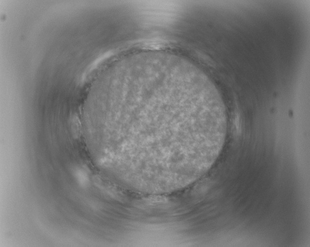 X0000051891446200507151926