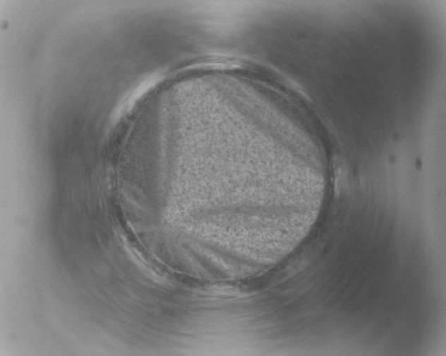 X0000051891448200507151926