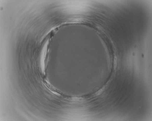 X0000051891449200507151926