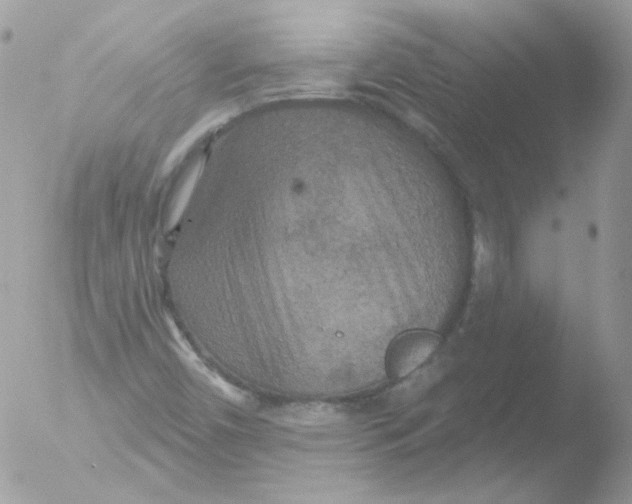 X0000051891450200507151926