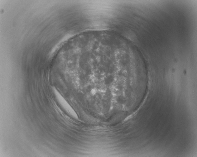 X0000051891451200507151926