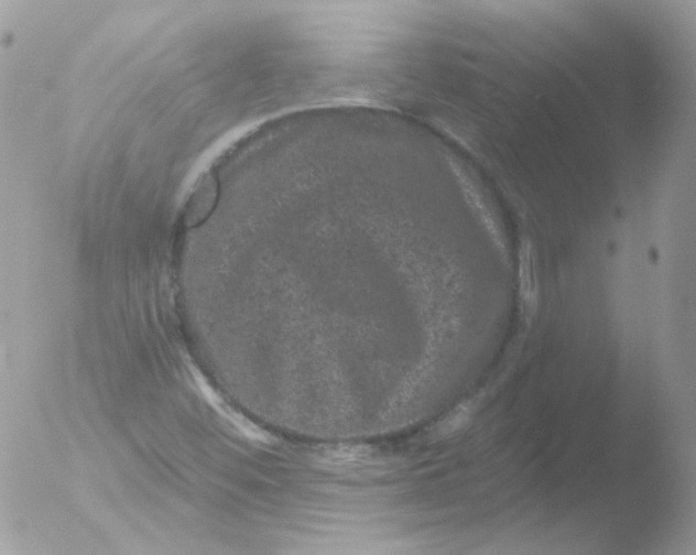 X0000051891452200507151926