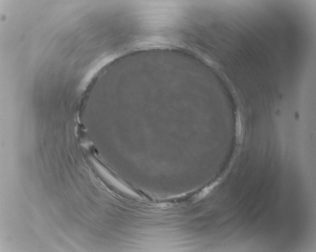 X0000051891453200507151926