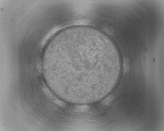 X0000051891454200507151926