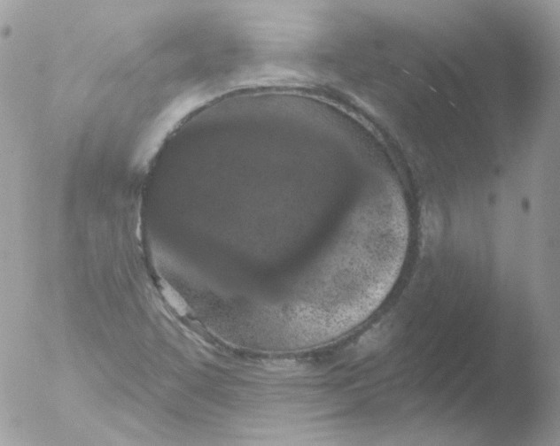 X0000051891455200507151926