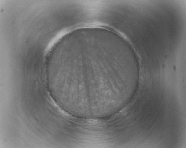 X0000051891456200507151926