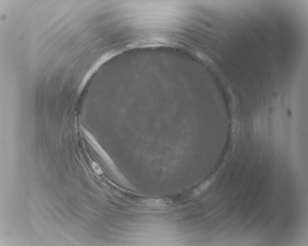 X0000051891457200507151926