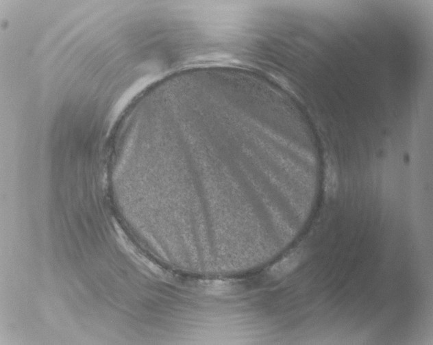 X0000051891458200507151926