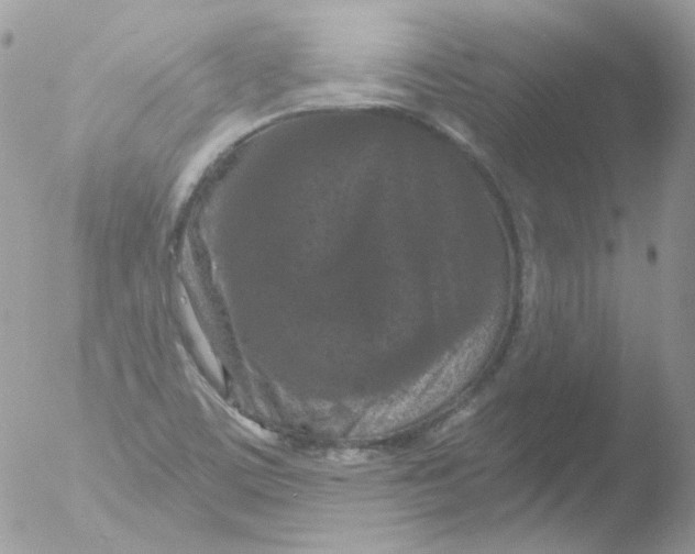 X0000051891459200507151926