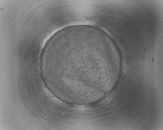 X0000051891460200507151926