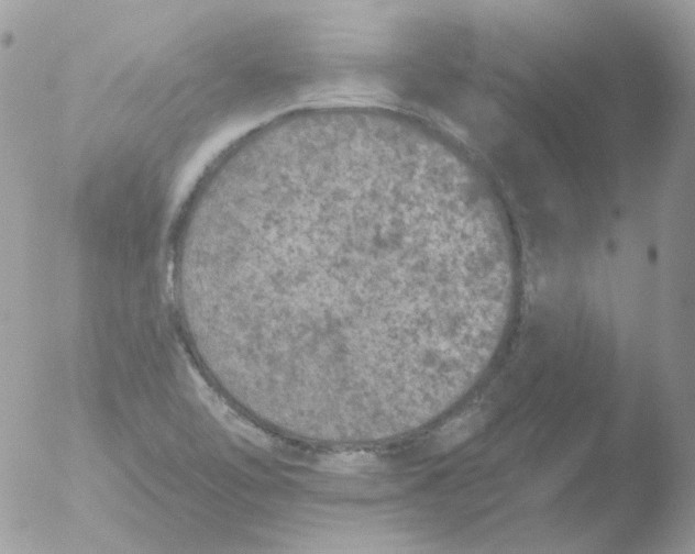 X0000051891462200507151926