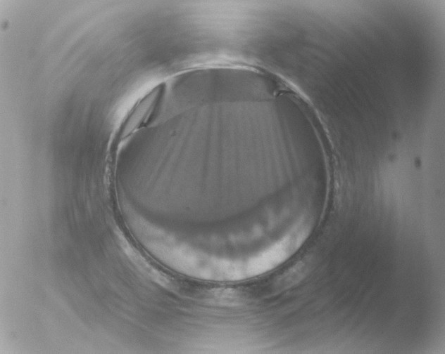 X0000051891463200507151926