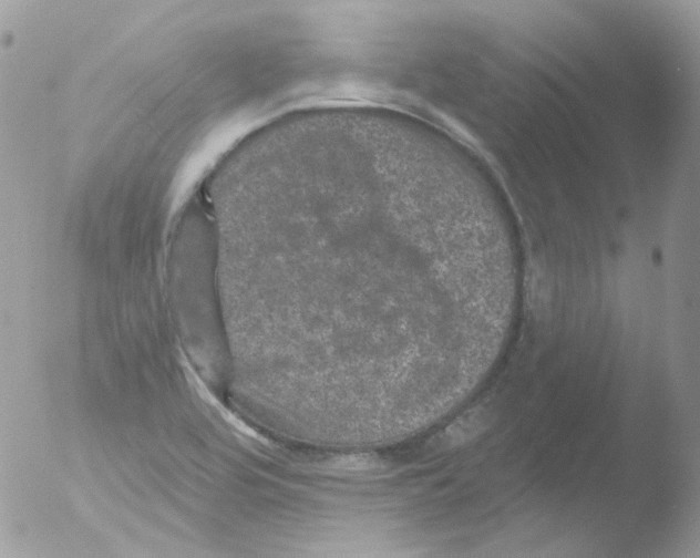 X0000051891464200507151926