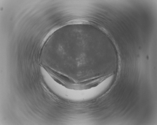 X0000051891465200507151926