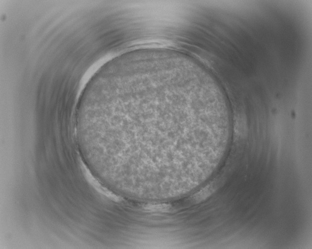 X0000051891466200507151926