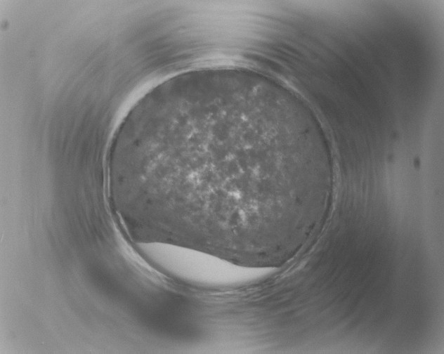 X0000051891467200507151926