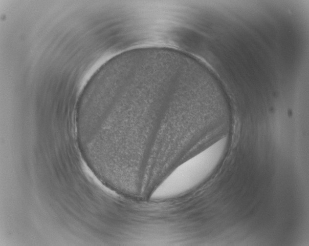 X0000051891468200507151926