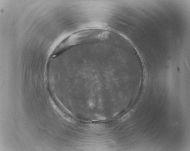 X0000051891469200507151926