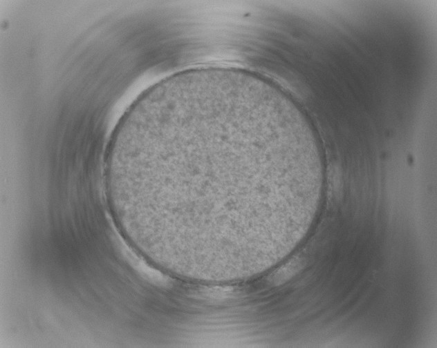 X0000051891470200507151926