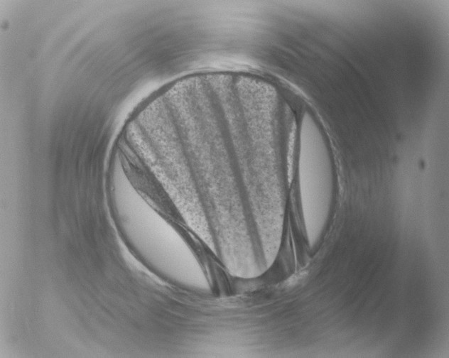 X0000051891471200507151926